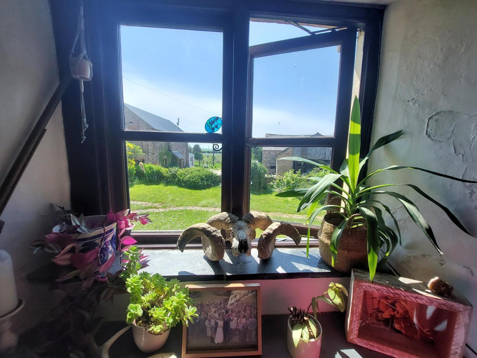 Rural Historic Farmhouse - A Peaceful Escape West Down Bagian luar foto